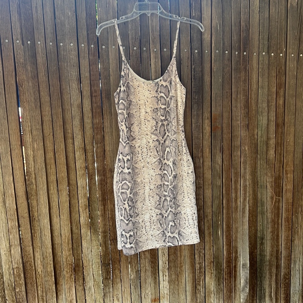 Bear Dance Snake Print Dress